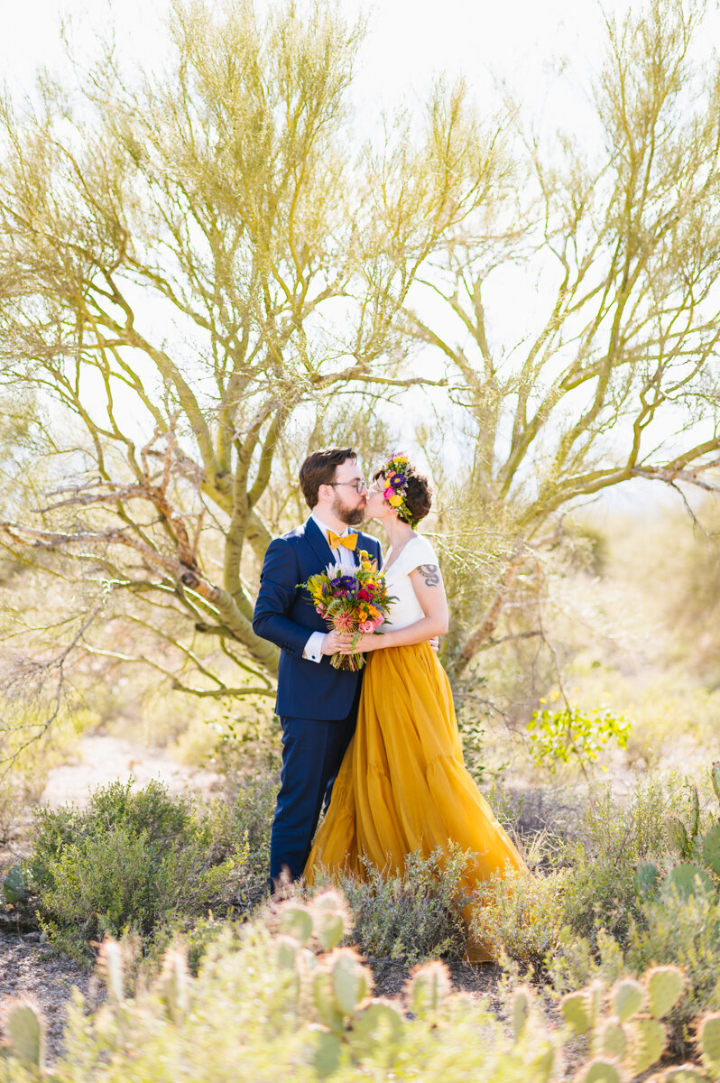 arizona-desert-museum-wedding-meredith-amadee-photography-3.jpg