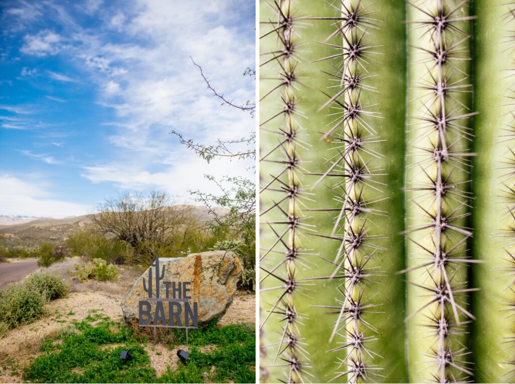 tanque-verde-ranch-wedding-meredith-amadee-photography