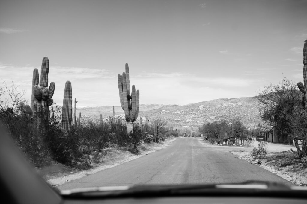 desert-wedding-meredith-amadee-photography