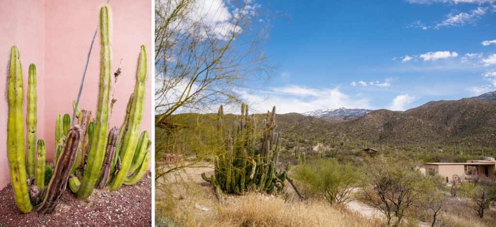 tanque-verde-ranch-wedding-meredith-amadee-photography