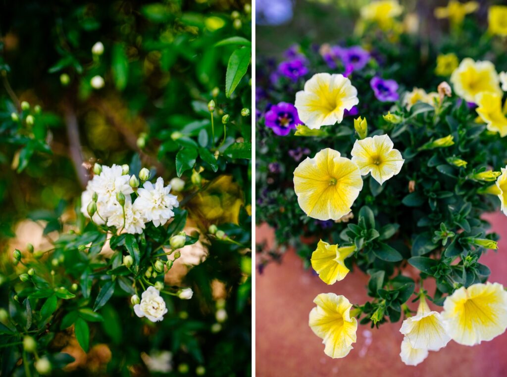 la-mariposa-resort-wedding-meredith-amadee-photography