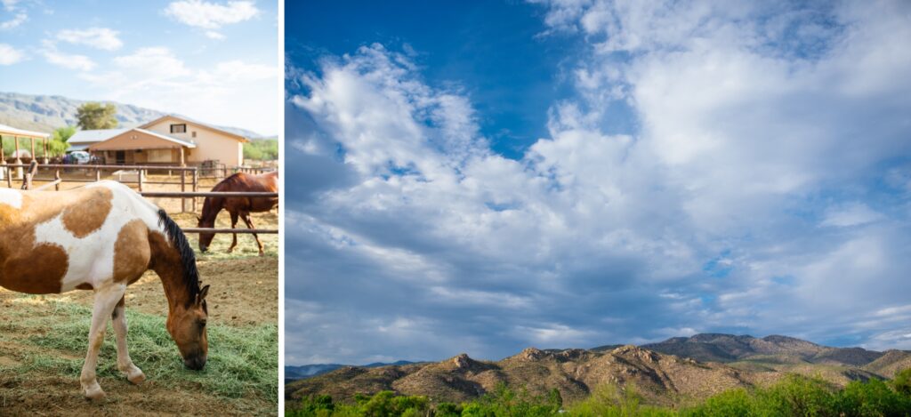 tanque-verde-ranch-meredith-amadee-photography