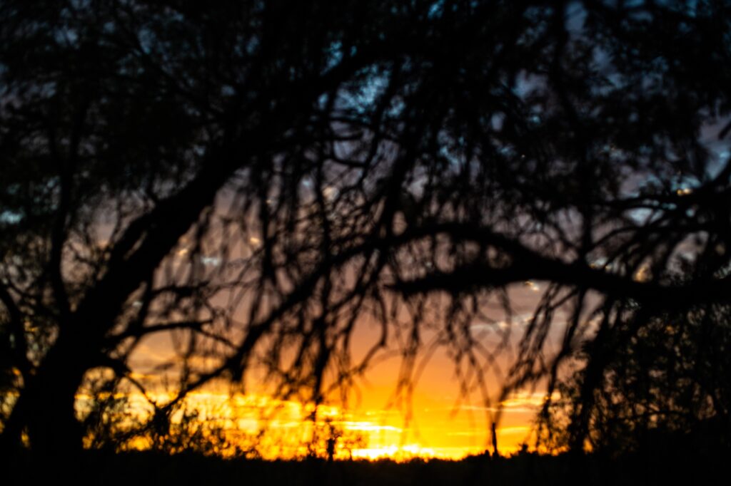 rehearsal-dinner-tanque-verde-ranch-meredith-amadee-photography