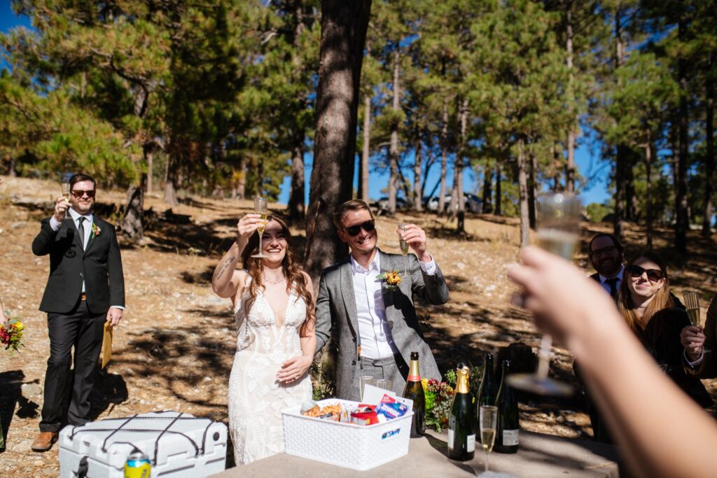 intimate-mount-lemmon-wedding-meredith-amadee-photography