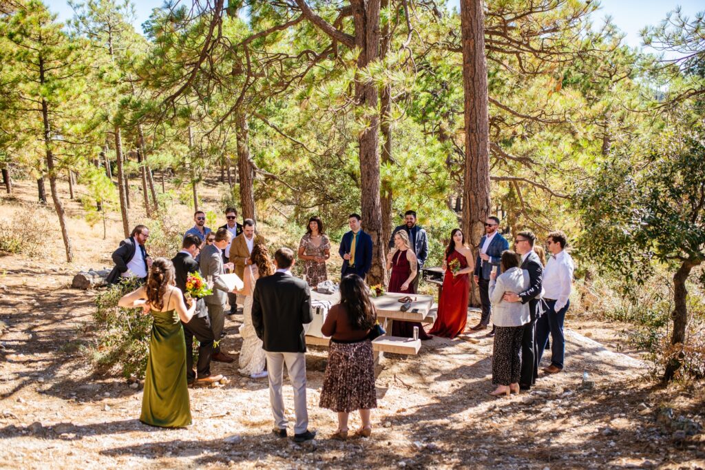 intimate-mount-lemmon-wedding-meredith-amadee-photography