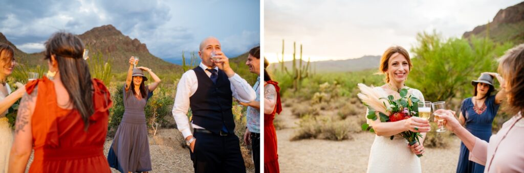 tucson-elopement-saguaro-national-park-meredith-amadee-photography