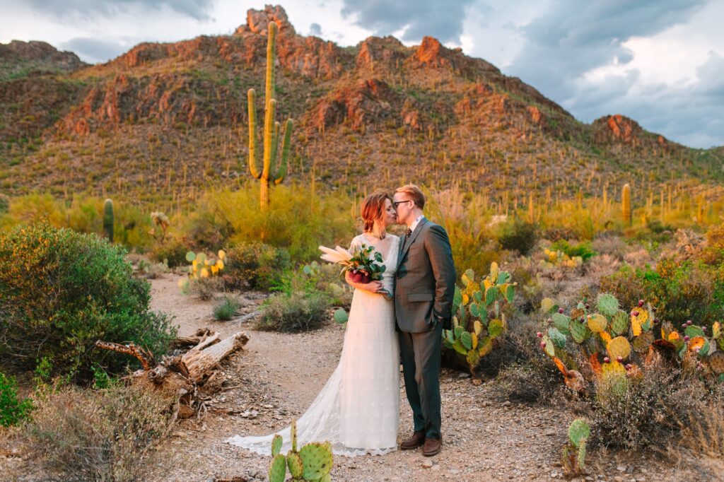 tucson-elopement-saguaro-national-park-meredith-amadee-photography